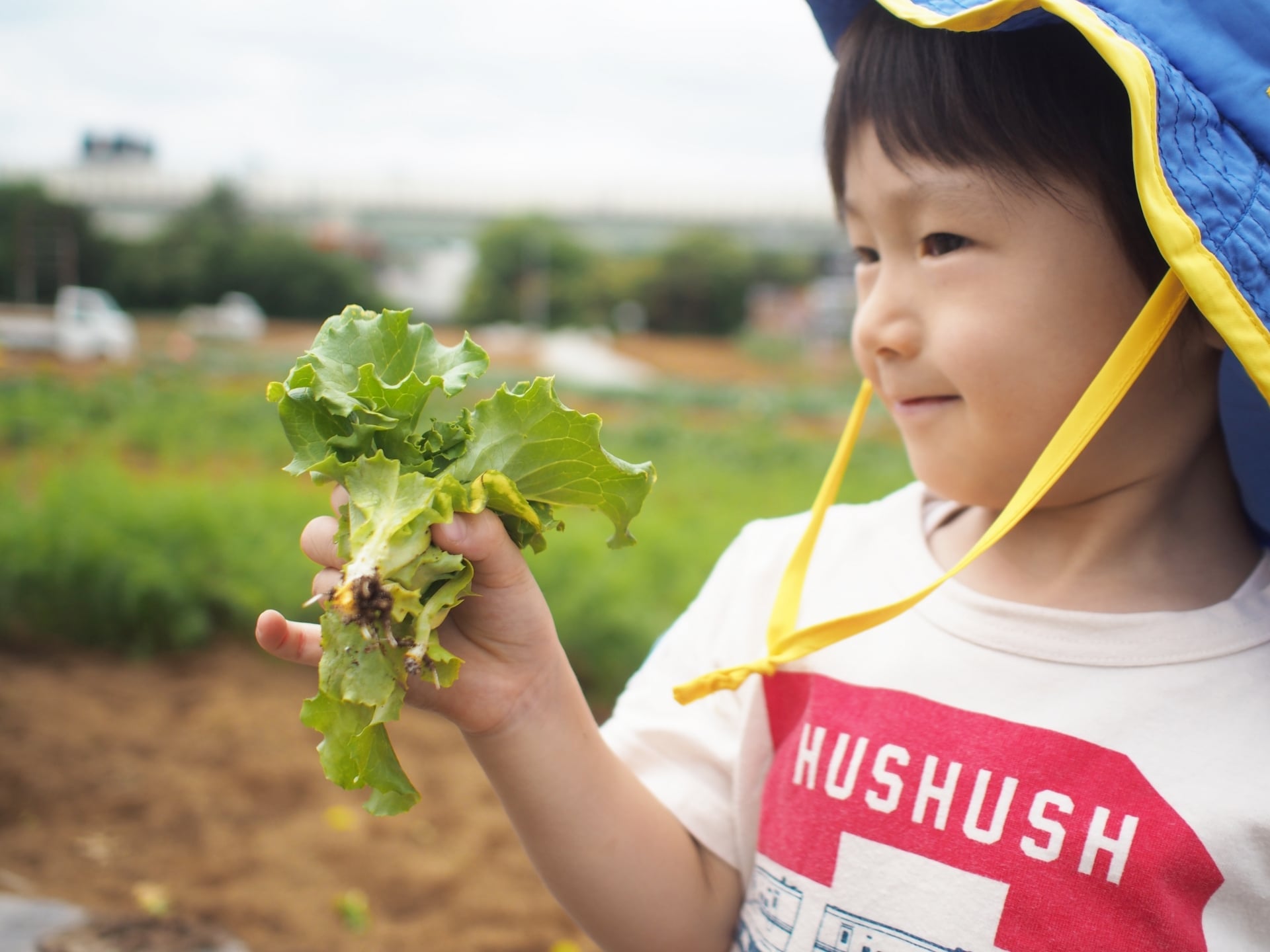 野菜を持つ少年